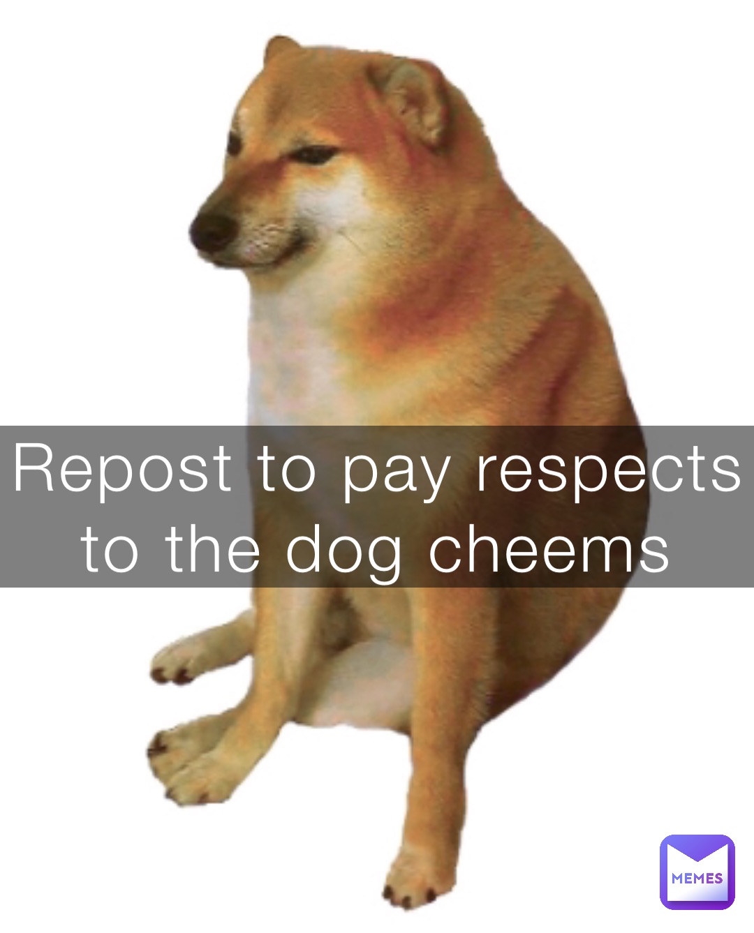 Repost to pay respects to the dog cheems