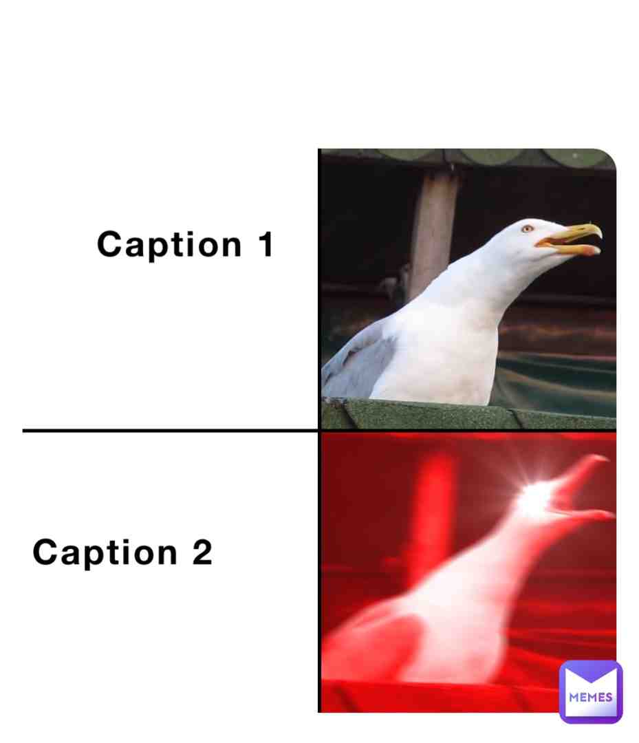 Meme shared by @errorblackeduser