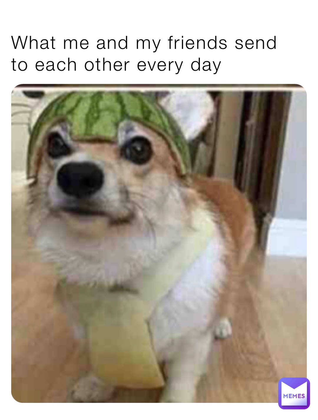 What me and my friends send to each other every day