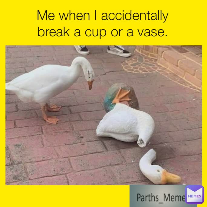 Me when I accidentally break a cup or a vase.