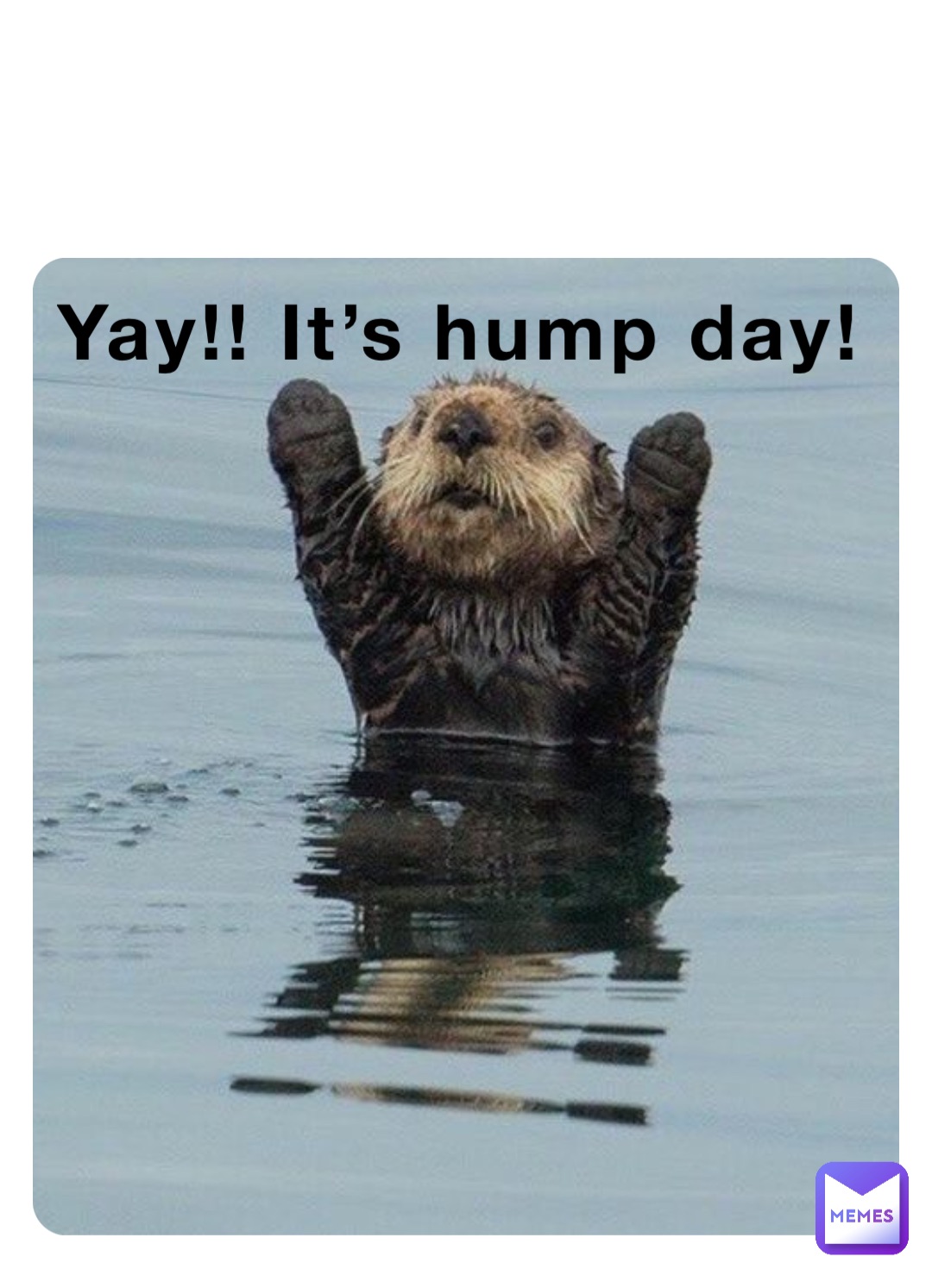 Yay!! It’s hump day!