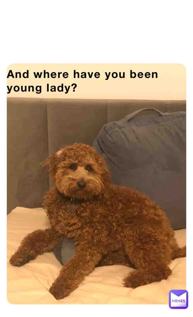 Meme shared by @veronica-johnsonpratt