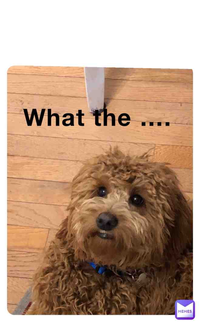 Meme shared by @veronica-johnsonpratt