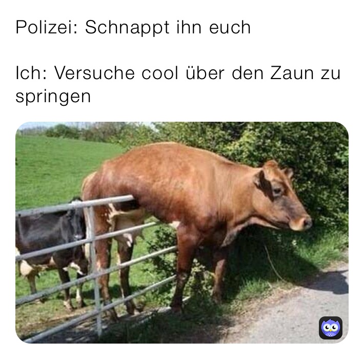 Polizei: Schnappt ihn euch 

Ich: Versuche cool über den Zaun zu springen 