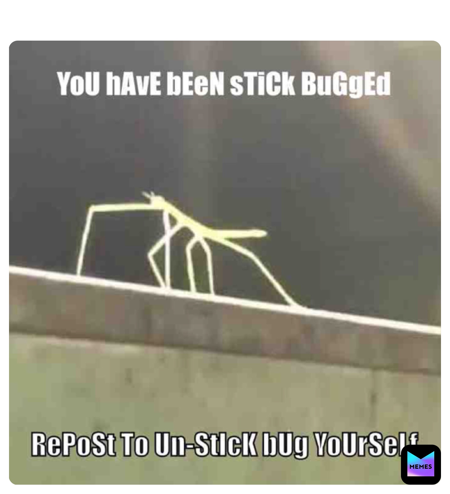 Get Stick Bugged lol