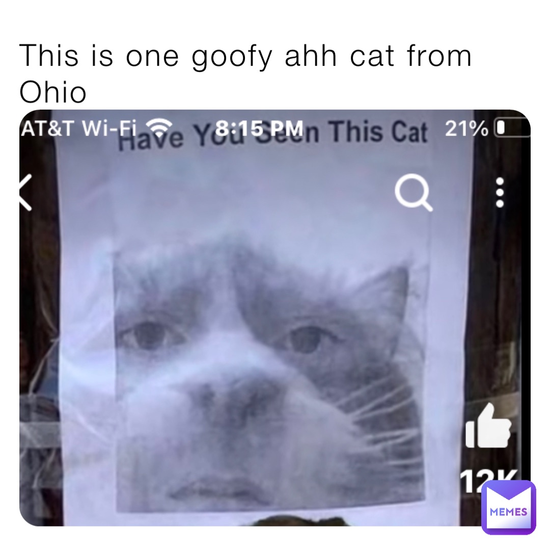 This is one goofy ahh cat from Ohio