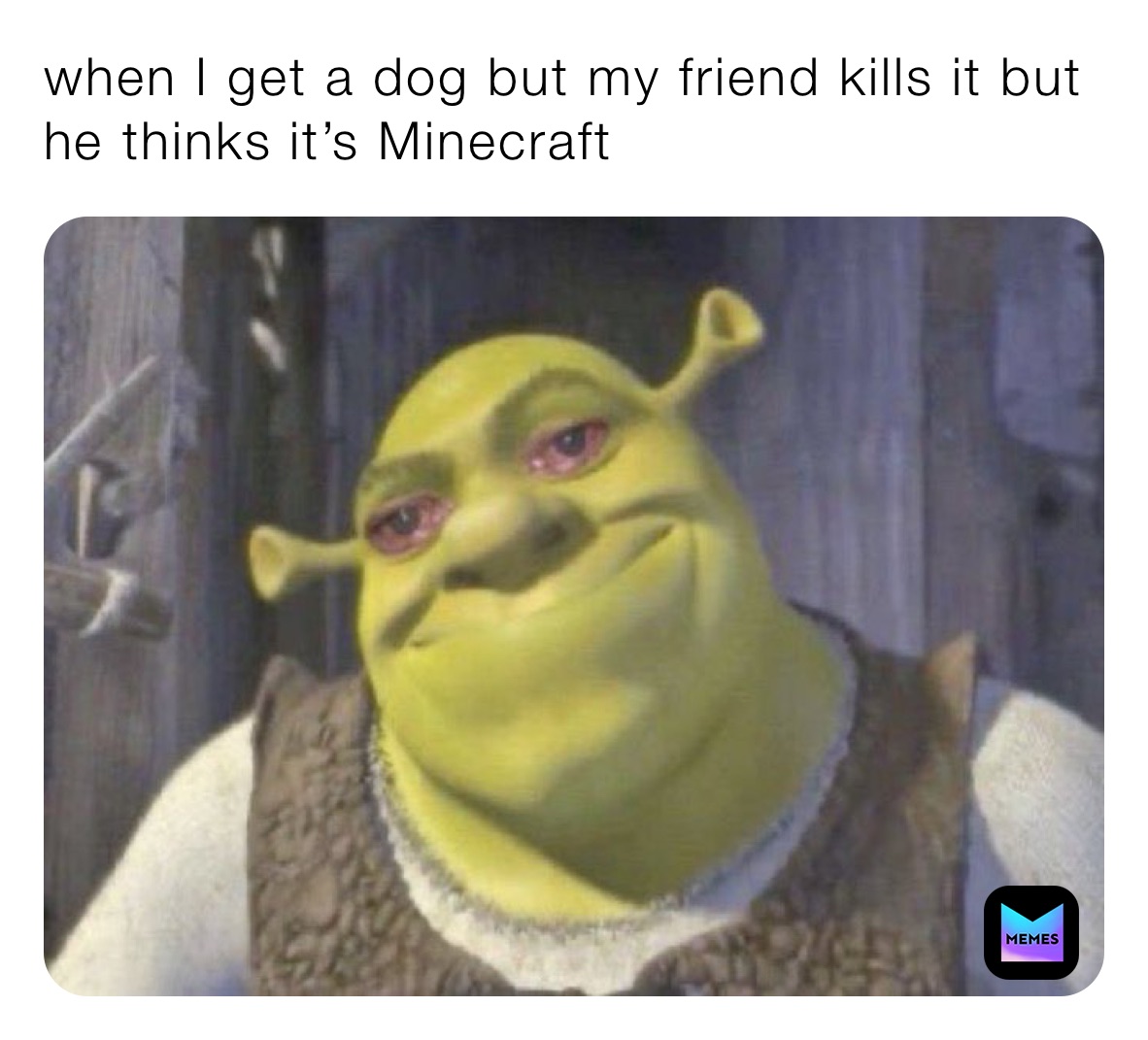 when I get a dog but my friend kills it but he thinks it’s Minecraft 