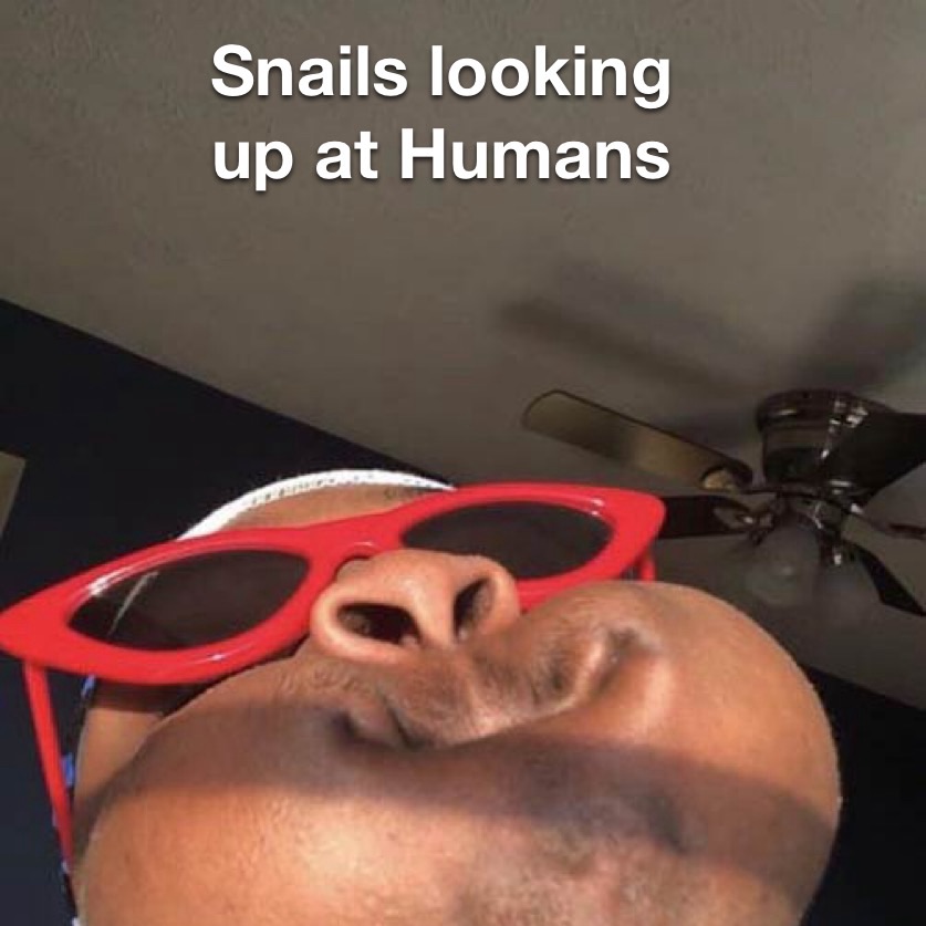 Meme by Squidwardunfunny