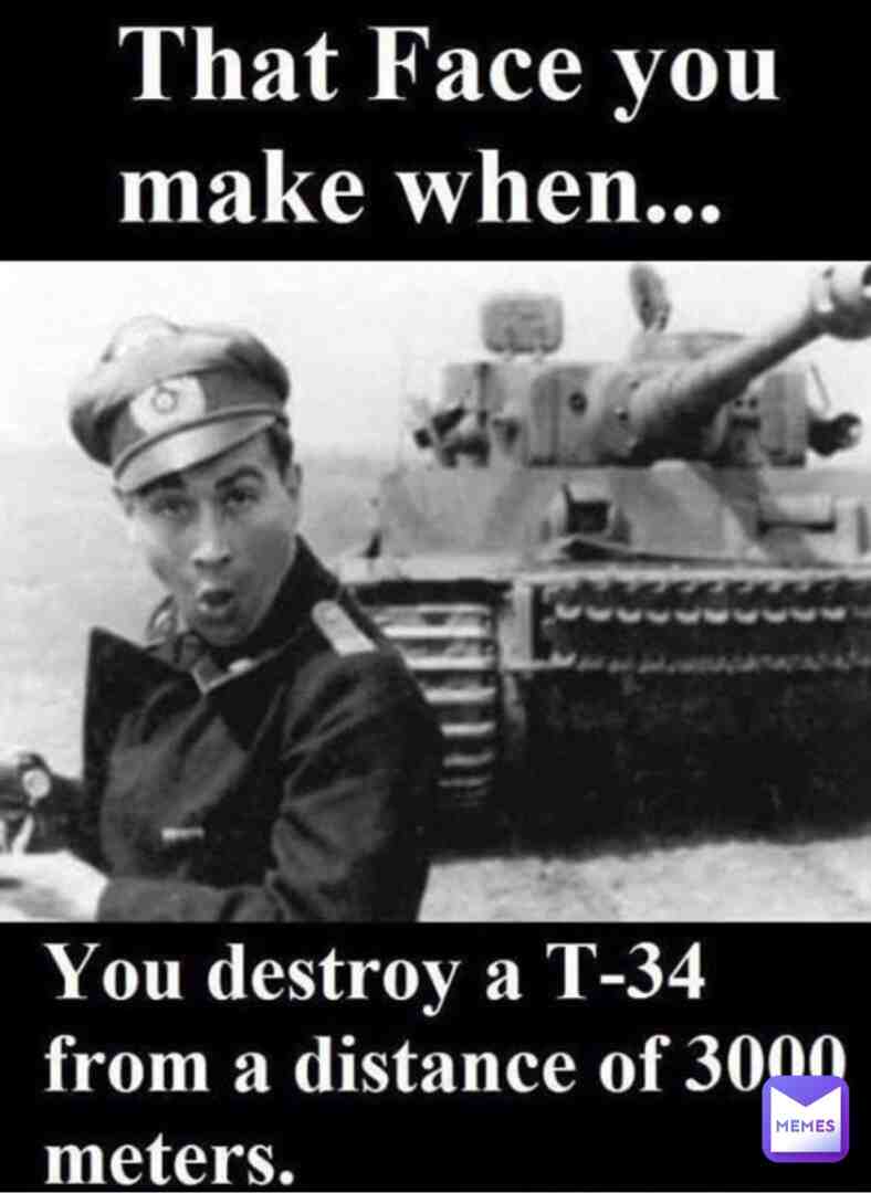 #germany #war #ww #tigerking #history