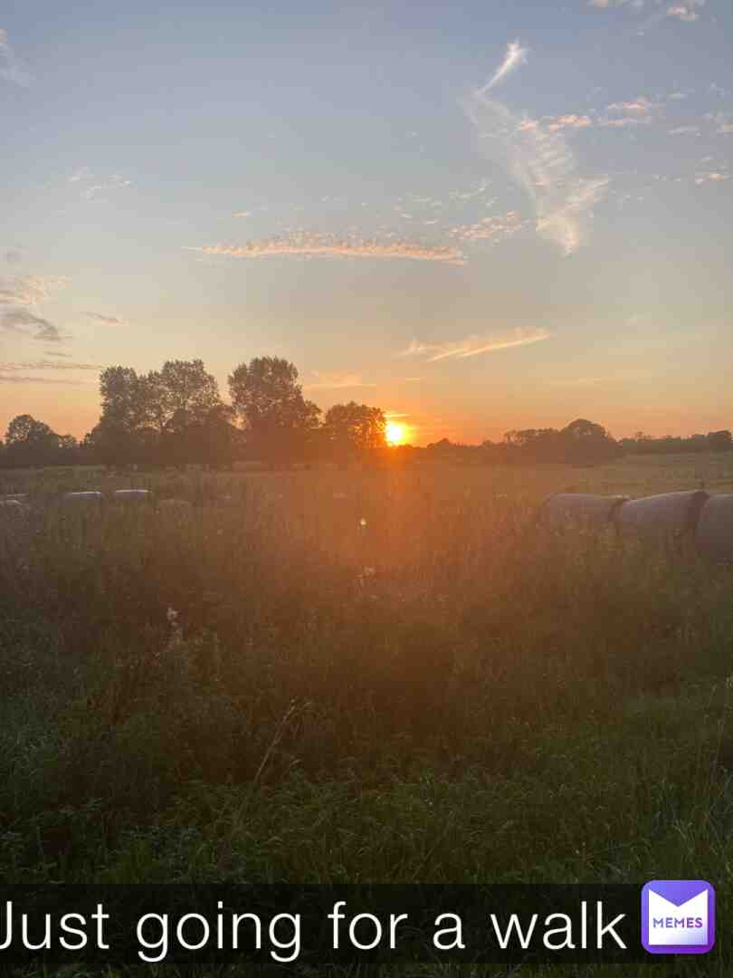 #walk #nature #sunset #reallife