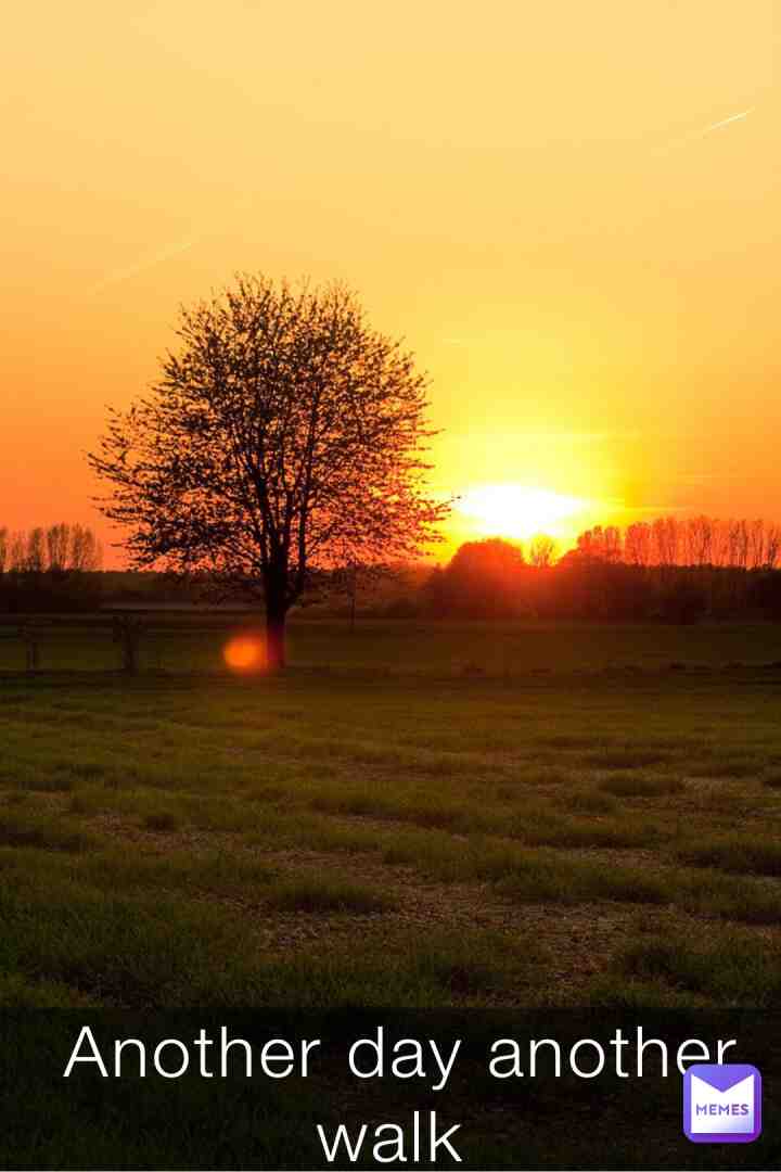 #walk #nature #sunset #reallife really proud of this shot