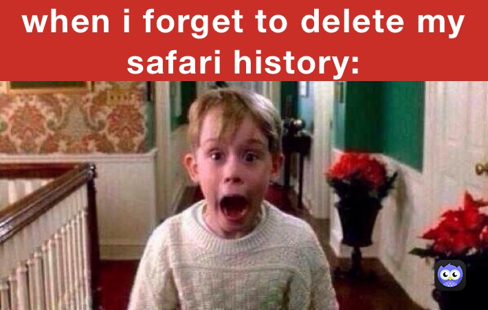 when i forget to delete my safari history: