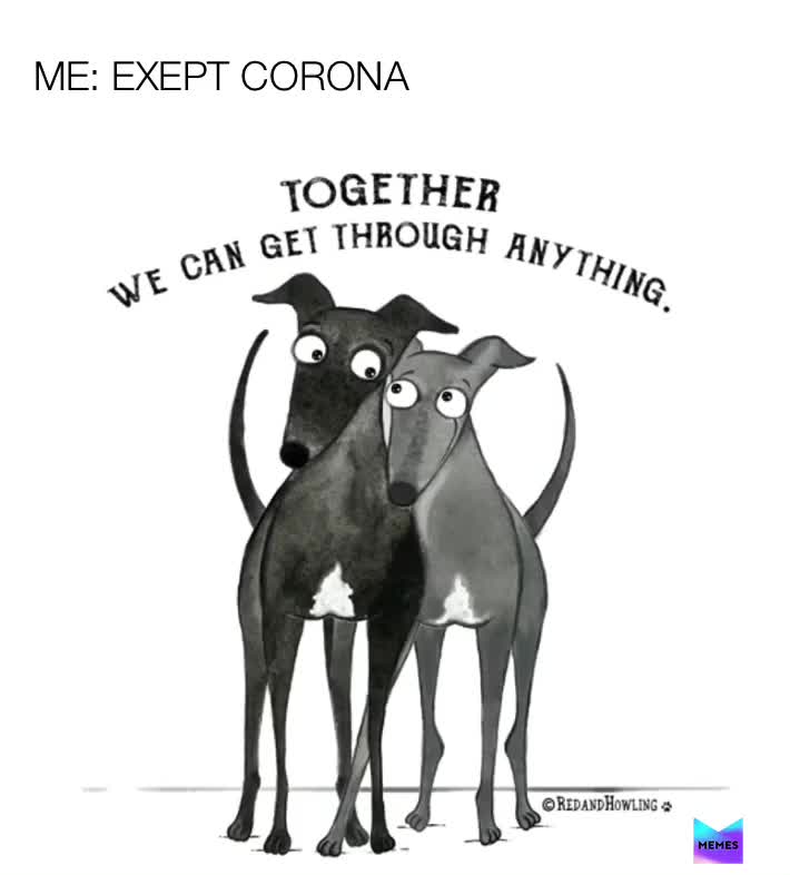 Meme shared by @maressa77