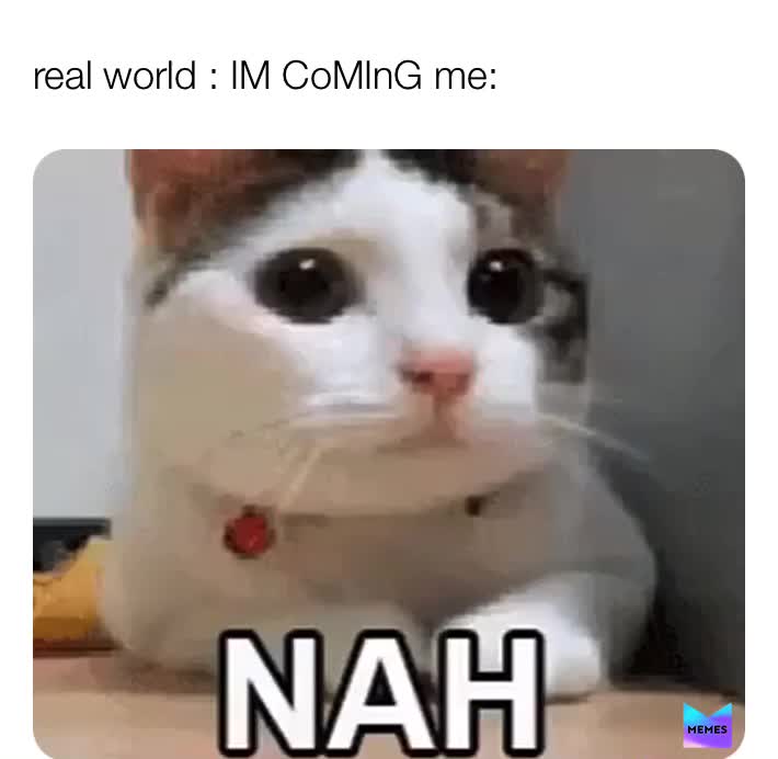 Meme shared by @maressa77