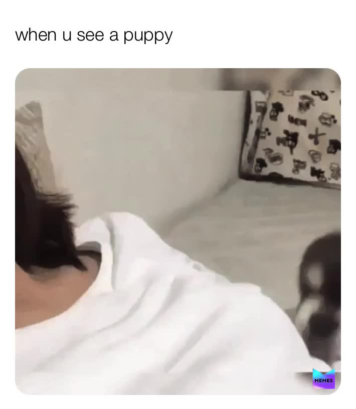 Meme shared by @maressa77
