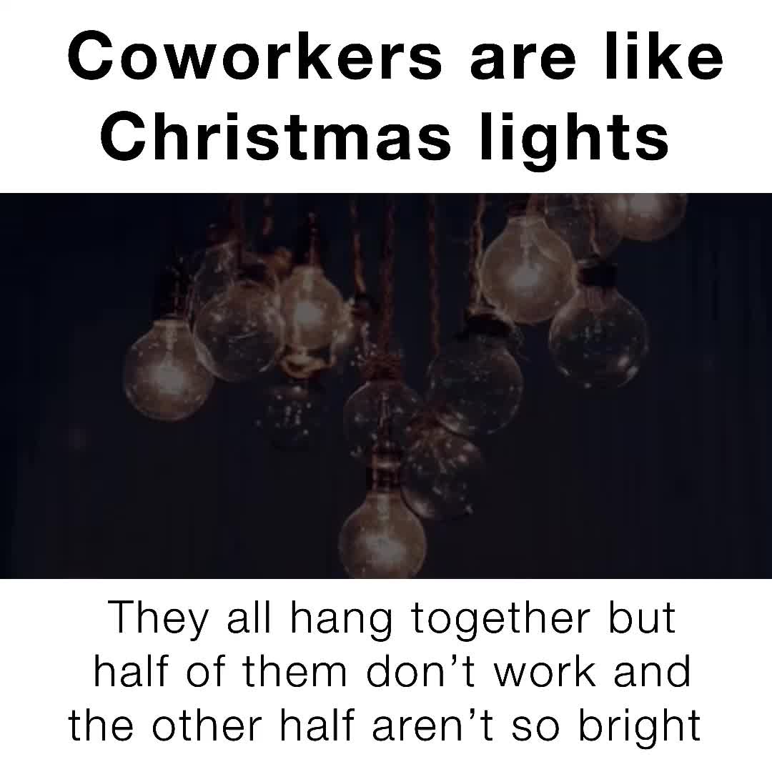 Coworkers are like Christmas lights They all hang together but half of