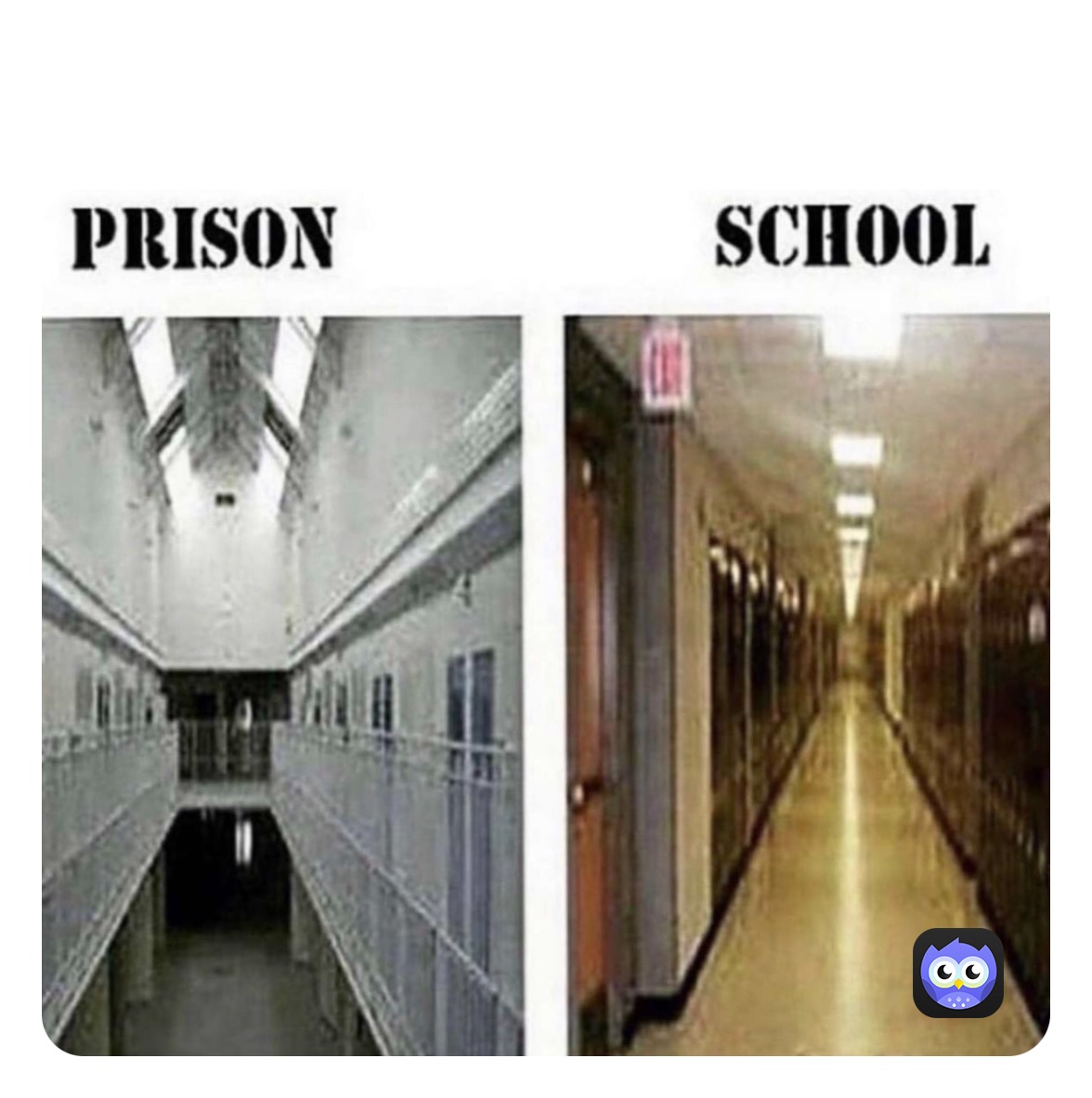 Post By hornysimp Memes Post By hornysimp Memes