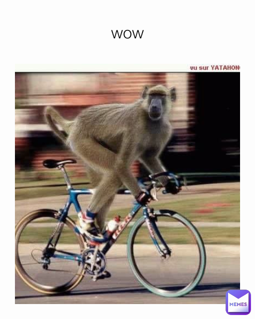 Meme by low_kie.rna_memes