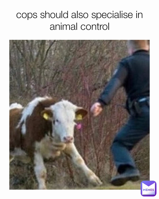 Meme by low_kie.rna_memes