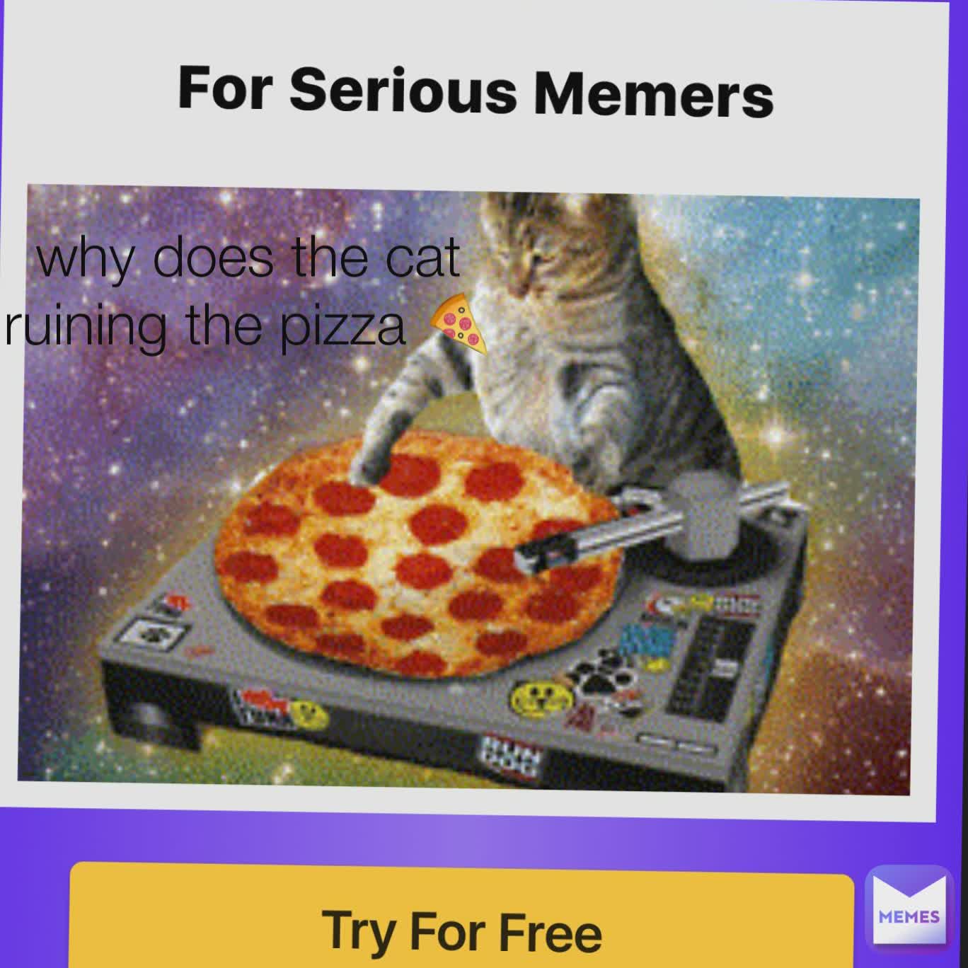 why does the cat ruining the pizza 🍕 why does the cat ruining the pizza 🍕  | @thememeoftheday | Memes