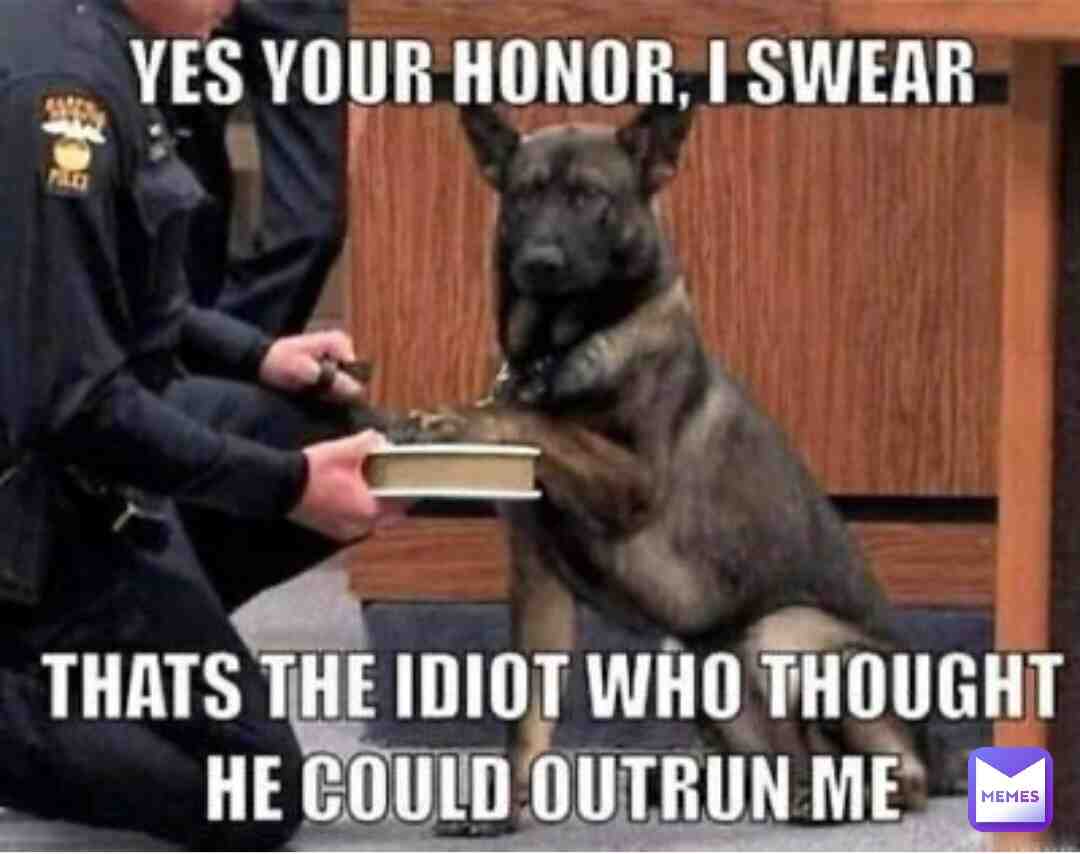 Meme shared by @Im_Not_Dogpool