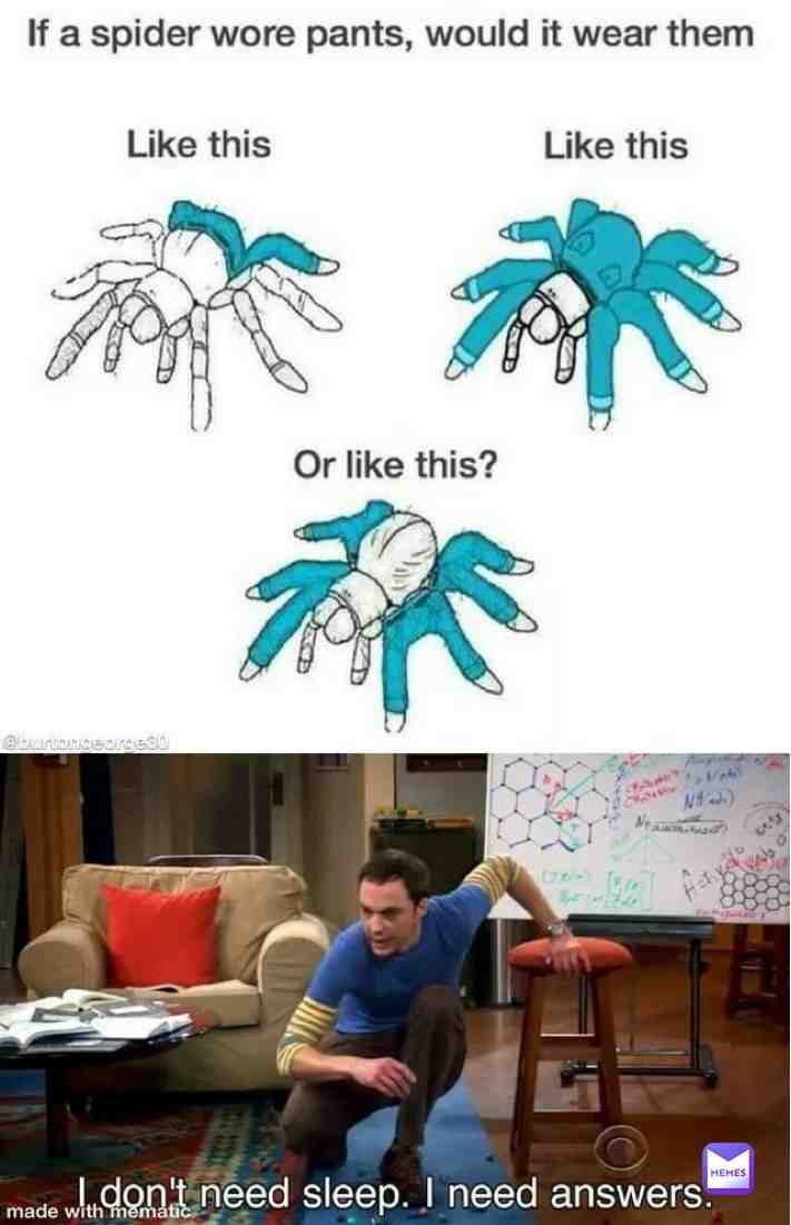 What would they wear it like tho π§ #spiders #pants #answers #memes