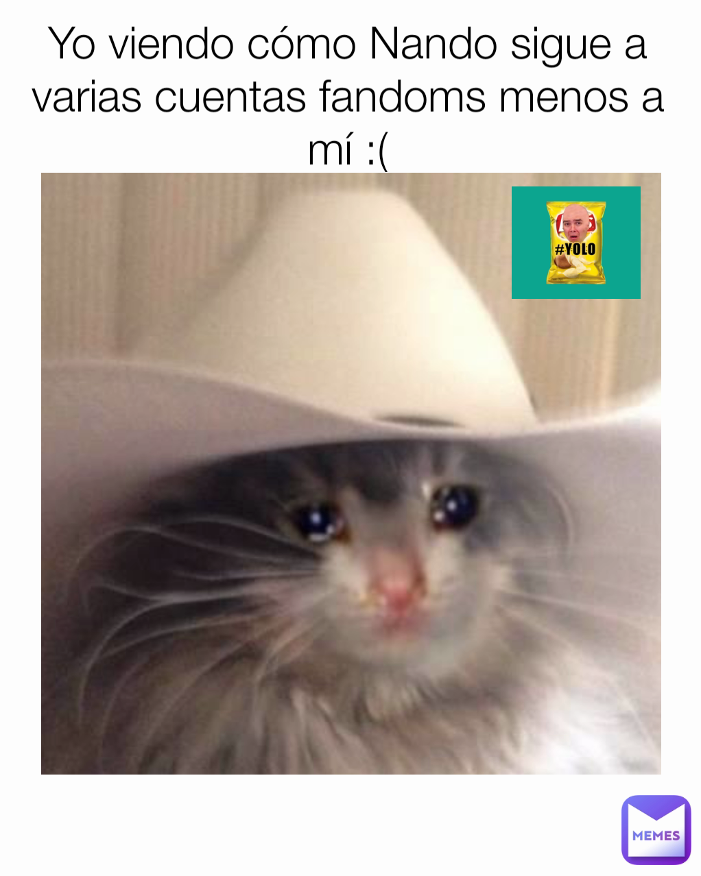 Yo viendo cómo Nando sigue a varias cuentas fandoms menos a mí :(