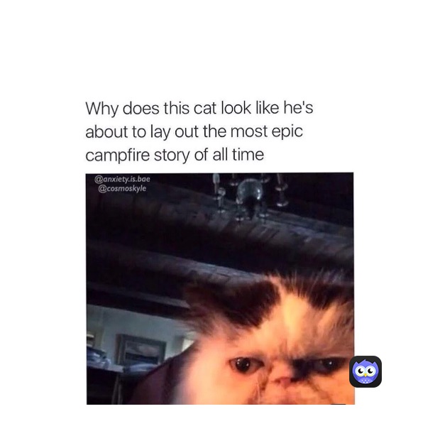 Meme by Santinobigblue