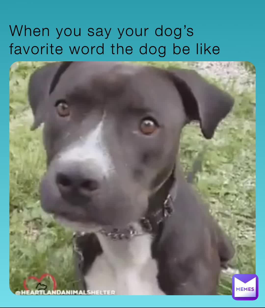 Meme preview