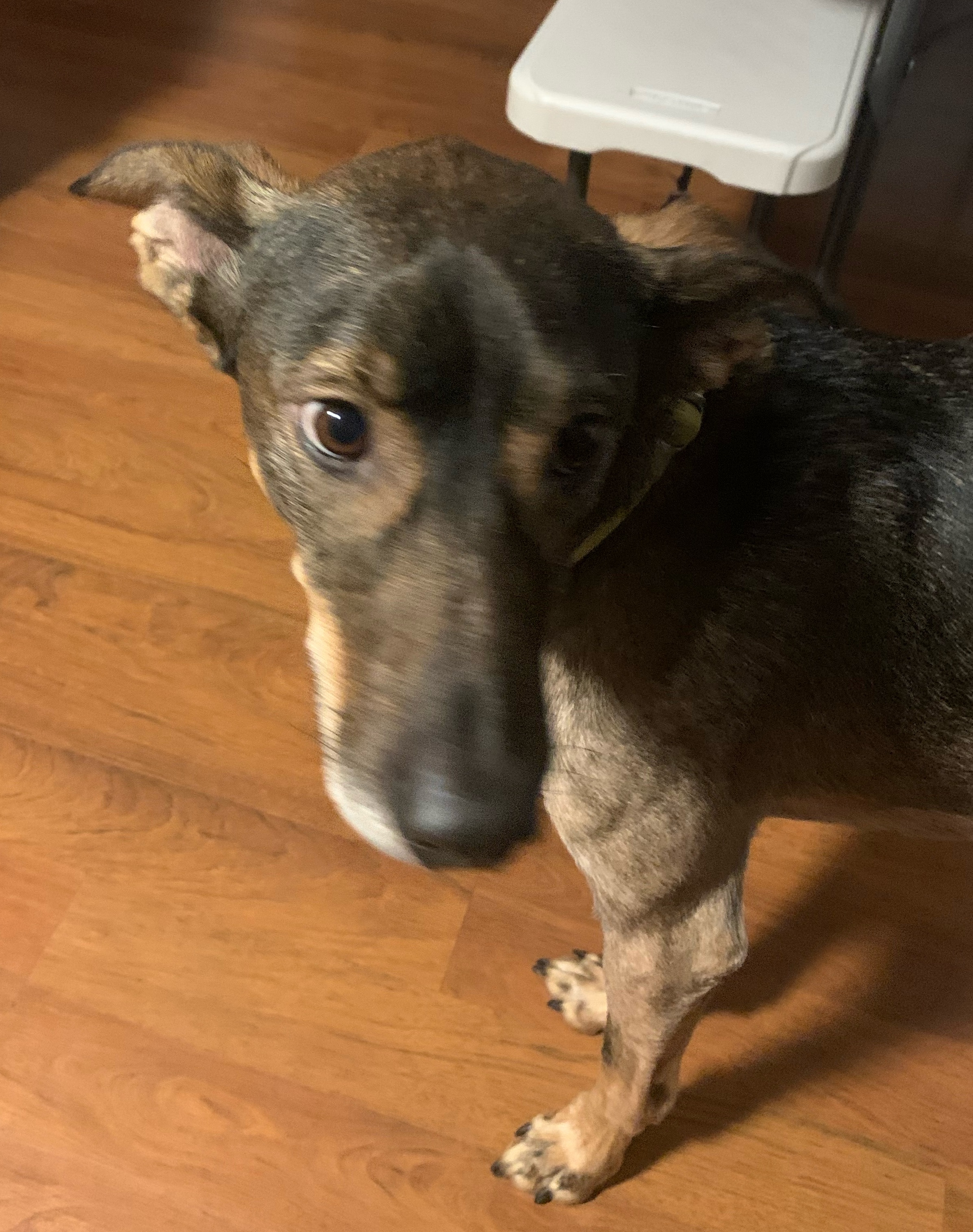 Meme by born2bfree0816