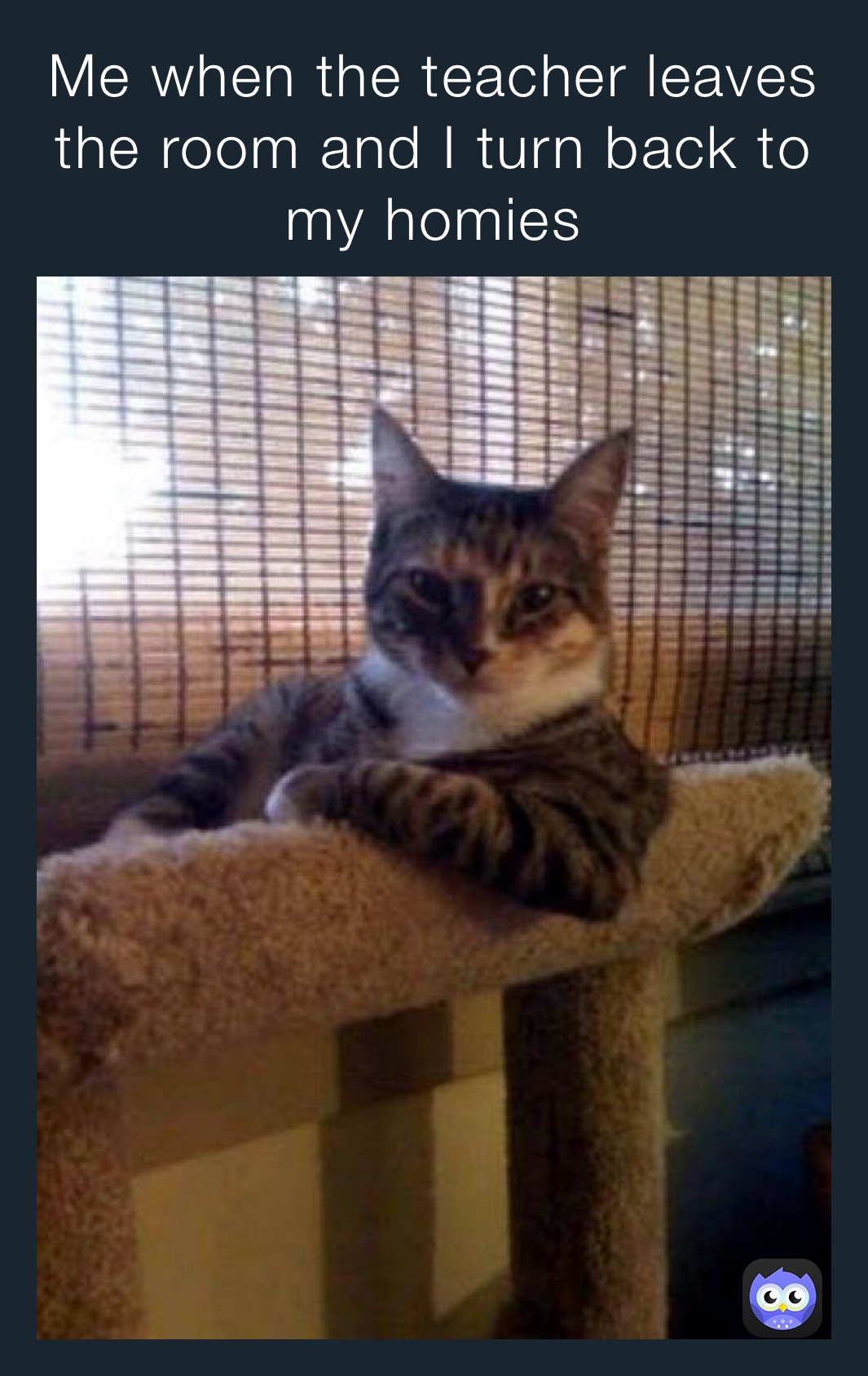 When someone says did I ask and this is how it looks like