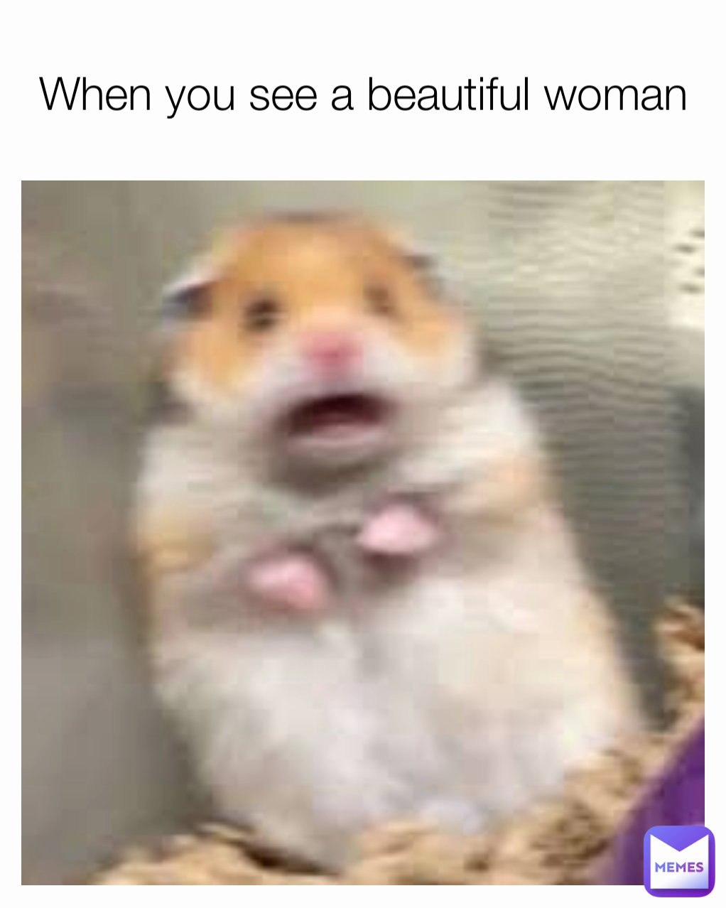 When you see a beautiful woman