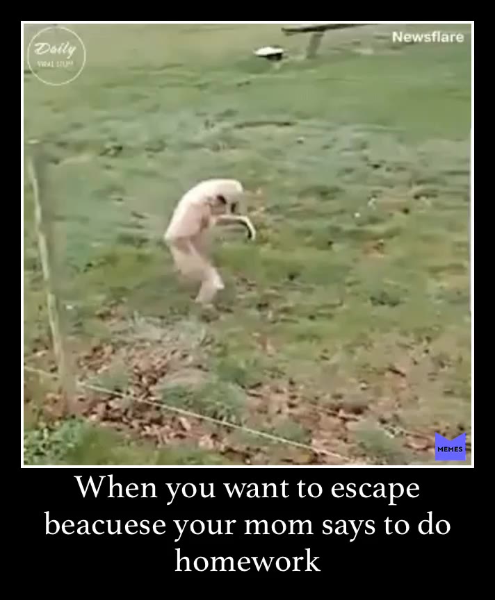 #escape