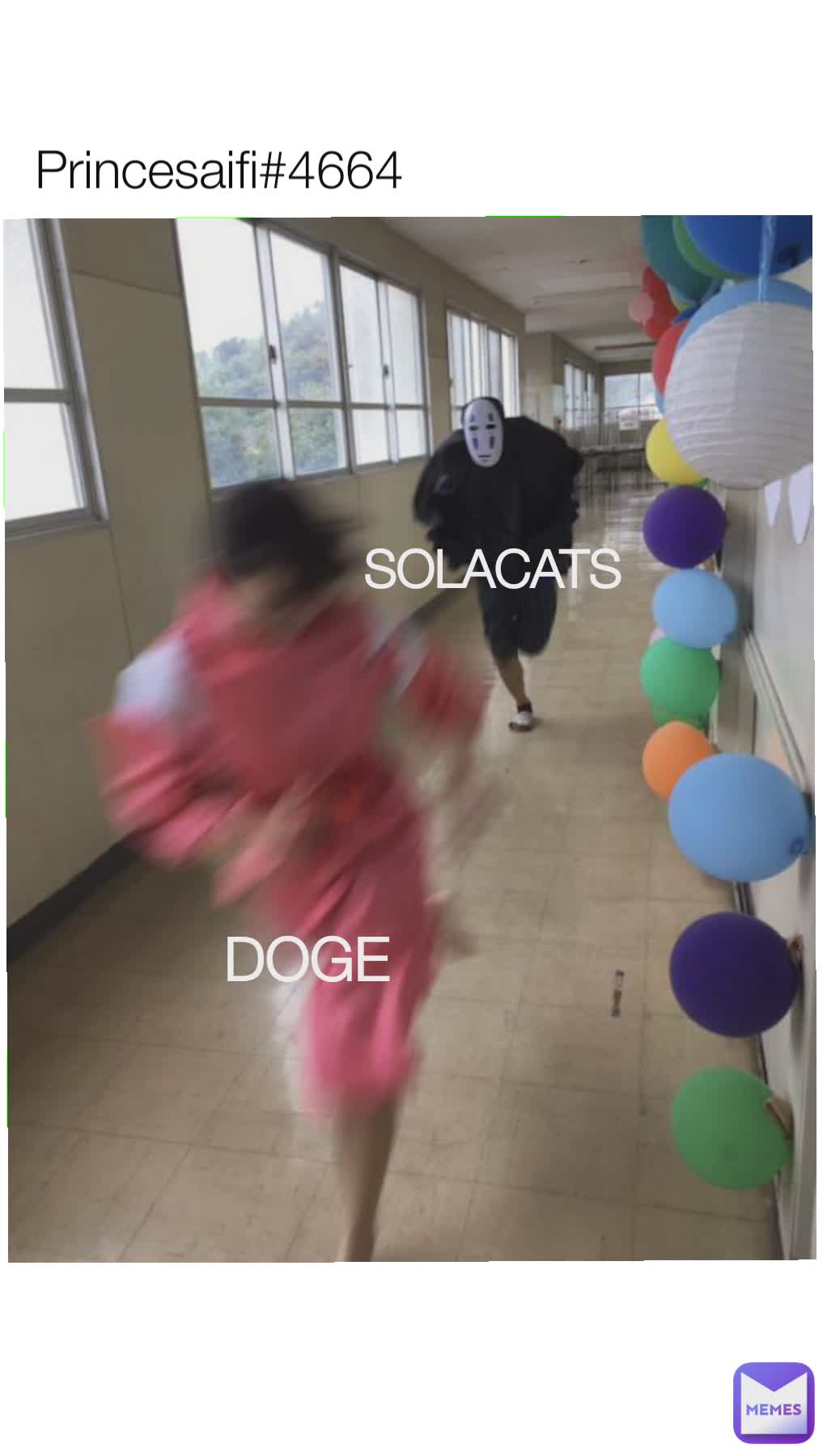 SOLACATS DoGe Princesaifi#4664 DOGE SOLACATS