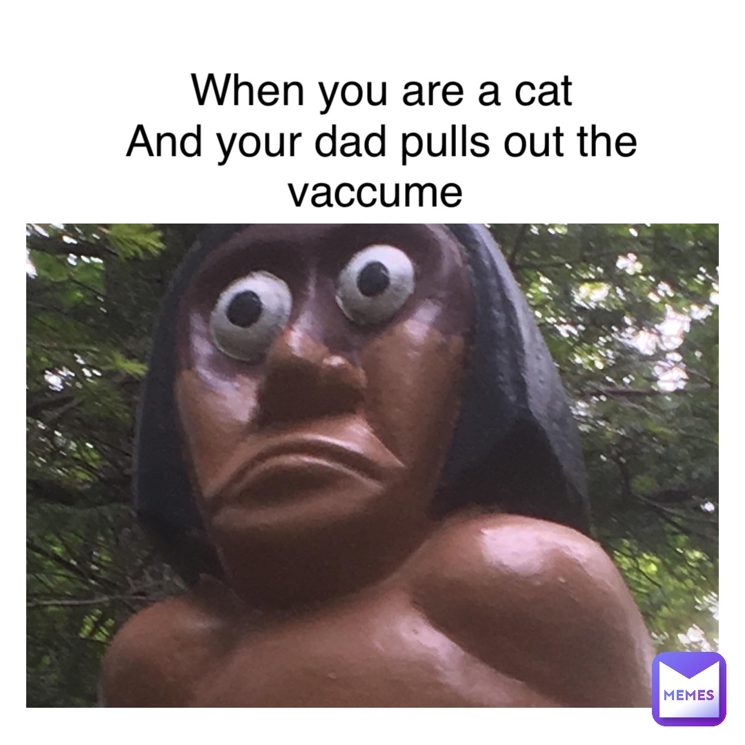 When you are a cat 
And your dad pulls out the vaccume