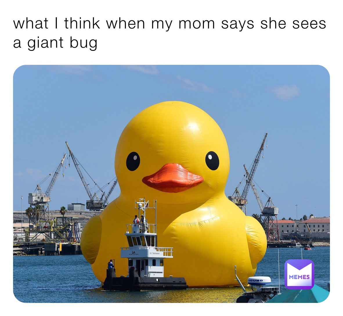 what I think when my mom says she sees a giant bug