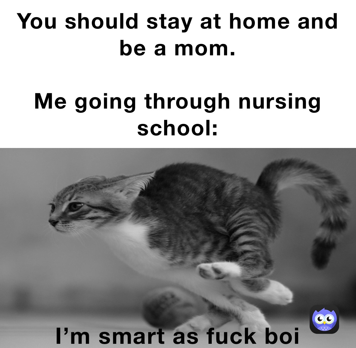 Meme by ms.brookeleereynolds