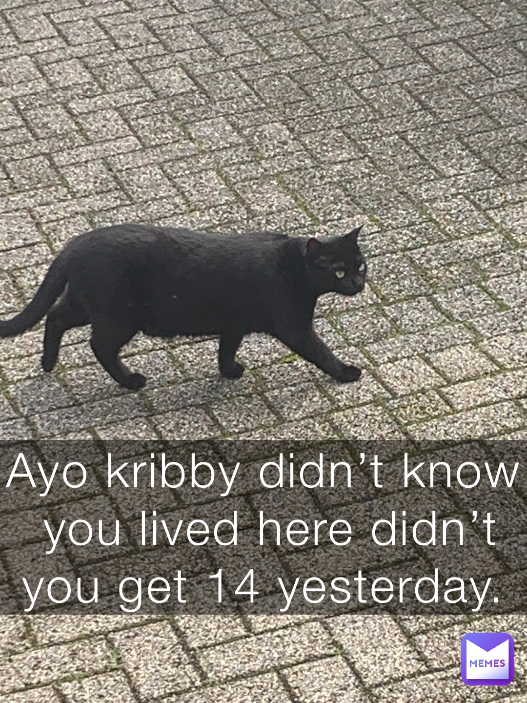 Ayo kribby didn’t know you lived here didn’t you get 14 yesterday.