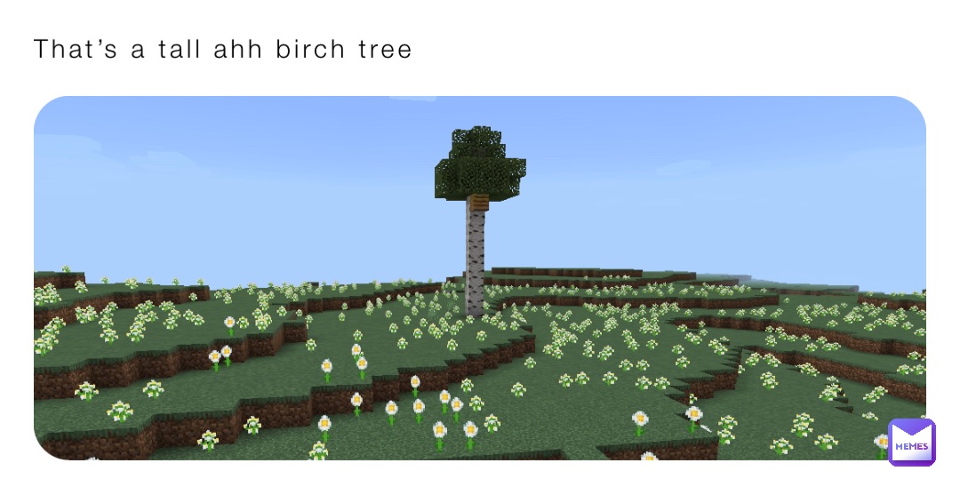 That’s a tall ahh birch tree