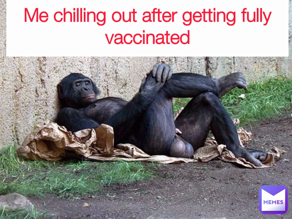 Meme by TheHumorousGirl