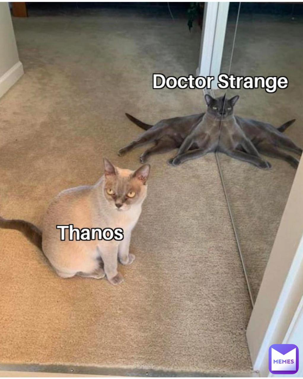 Meme by TheHumorousGirl