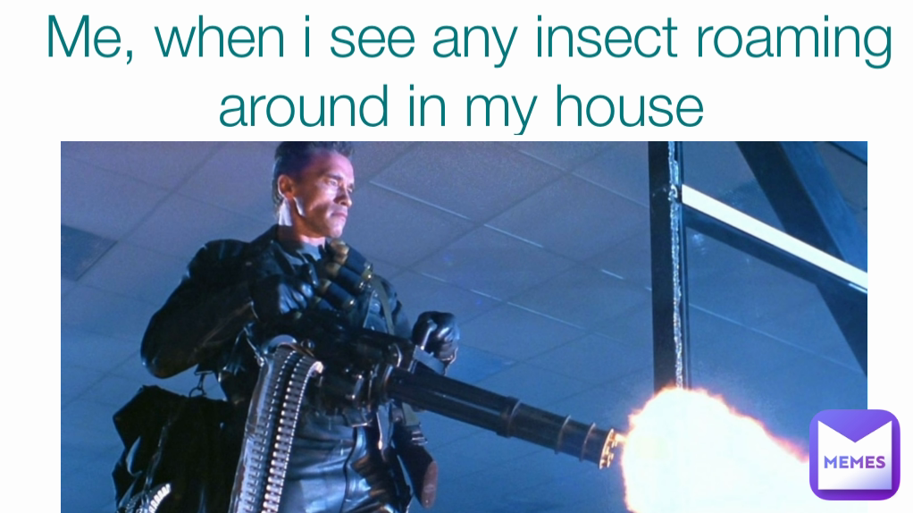 Meme by TheHumorousGirl