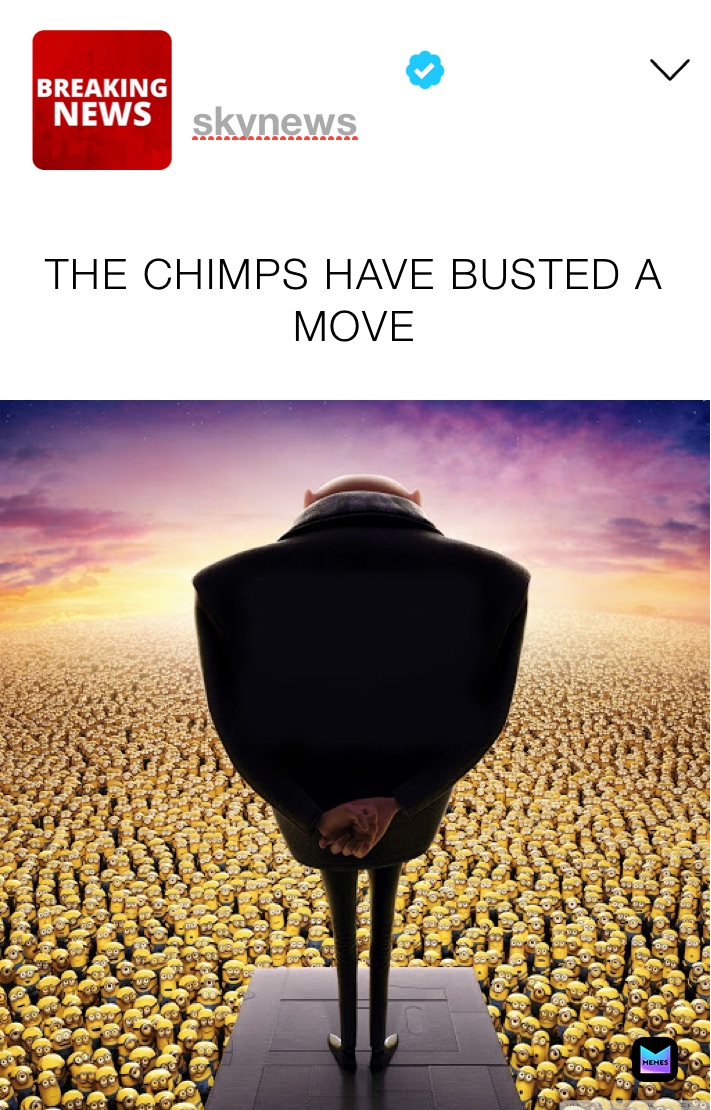 THE CHIMPS HAVE BUSTED A MOVE