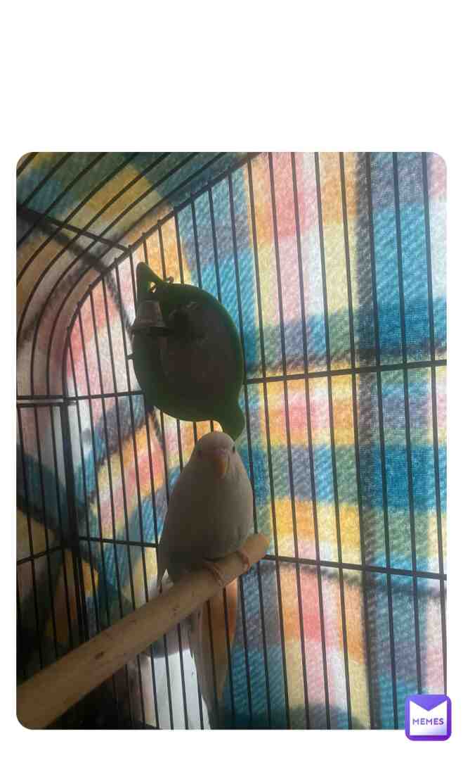 He tried to bite me WTF