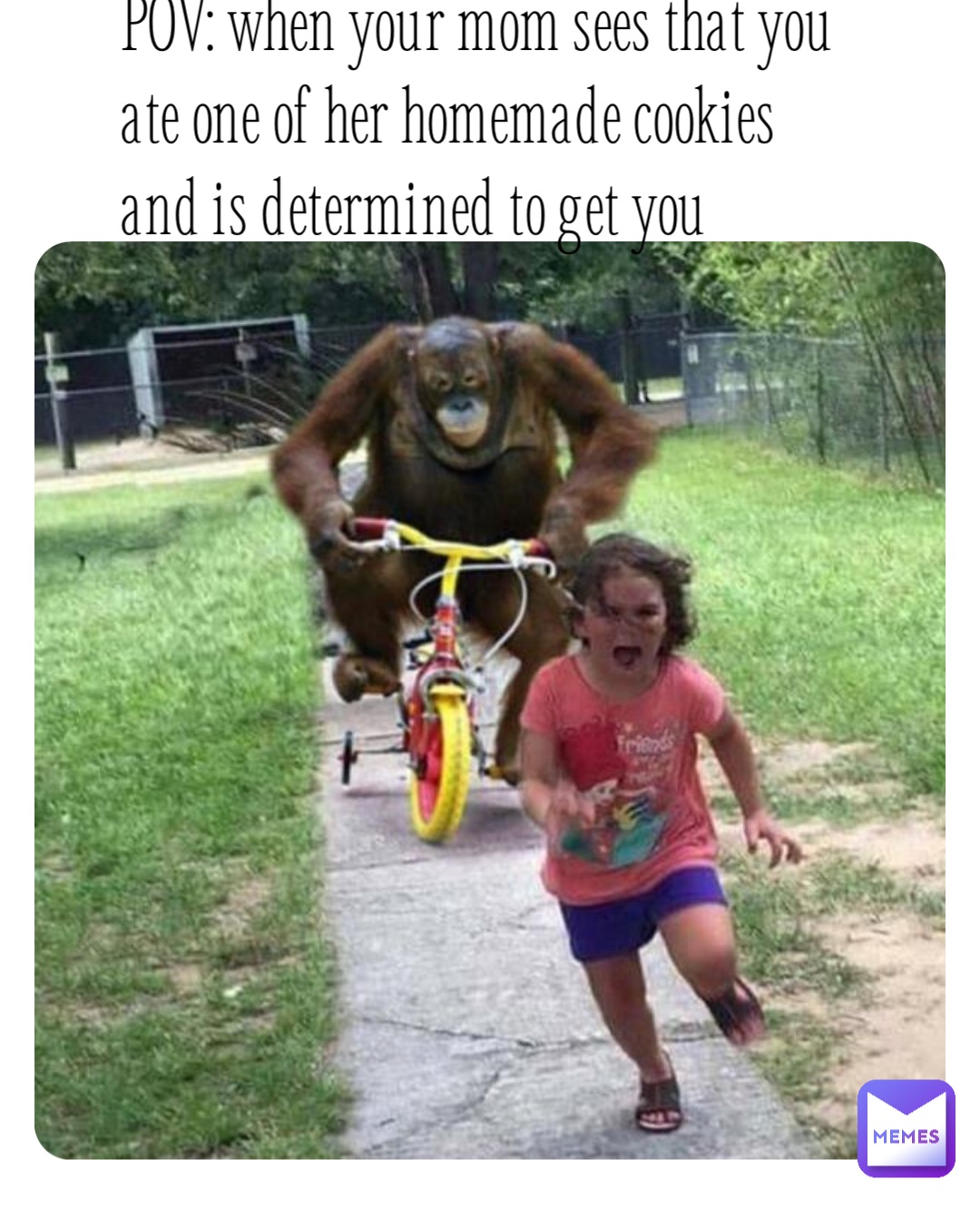 Meme by monkey_smash_11111111111