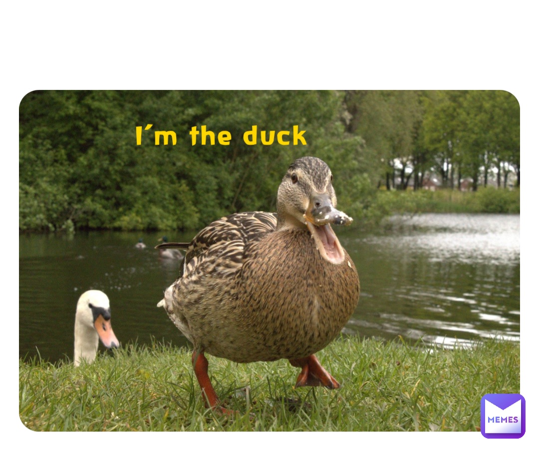 Meme by monkey_smash_11111111111