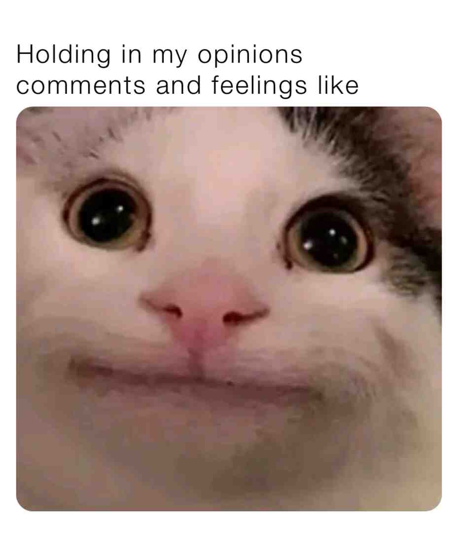 Meme shared by @Tigerlili