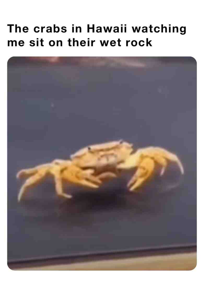 Meme shared by @Tigerlili