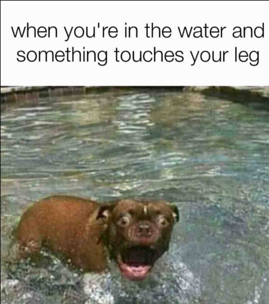 Meme by jarne0202_1629799773