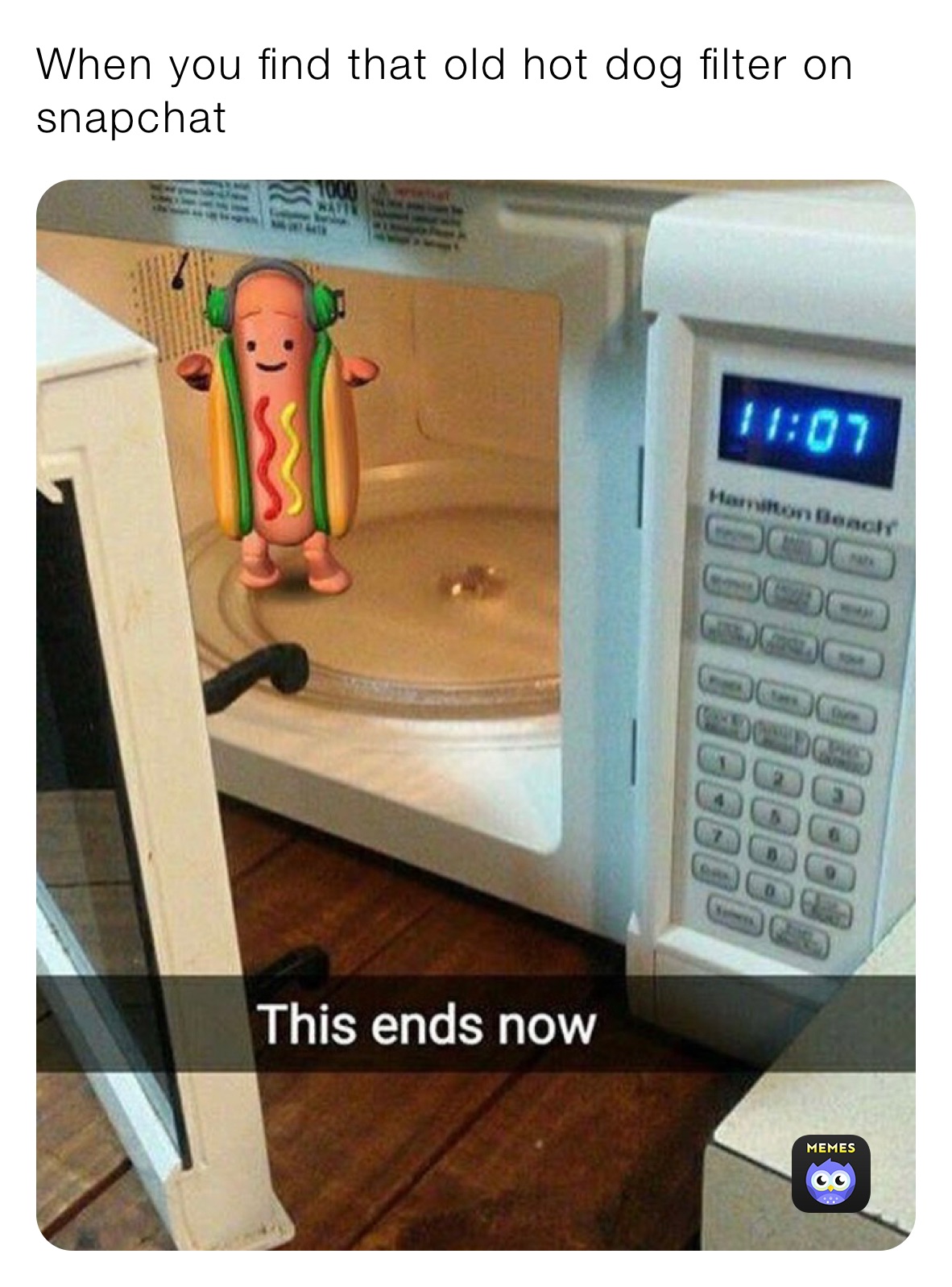 When you find that old hot dog filter on snapchat￼